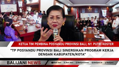 TP Posyandu Provinsi Bali Sinergikan Program Kerja dengan Kabupaten/Kota