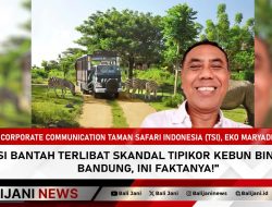 TSI Bantah Terlibat Skandal Tipikor Kebun Binatang Bandung, Ini Faktanya!