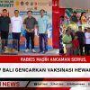 Rabies Masih Ancaman Serius, Pemprov Bali Gencarkan Vaksinasi Hewan Penular