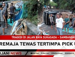 Tragedi di Jalan Raya Sukasada – Sambangan, Remaja Tewas Tertimpa Pick Up