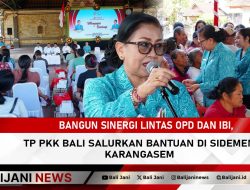 Bangun Sinergi Lintas OPD dan IBI, TP PKK Bali Salurkan Bantuan di Sidemen Karangasem
