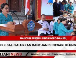 Bangun Sinergi Lintas OPD dan IBI, TP PKK Bali Salurkan Bantuan di Negari Klungkung