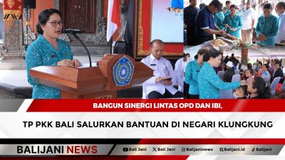 Bangun Sinergi Lintas OPD dan IBI, TP PKK Bali Salurkan Bantuan di Negari Klungkung