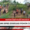 Respons Cepat Polsek Singaraja Bersama BPBD Evakuasi Pohon Tumbang