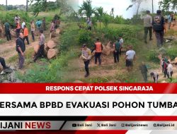 Respons Cepat Polsek Singaraja Bersama BPBD Evakuasi Pohon Tumbang