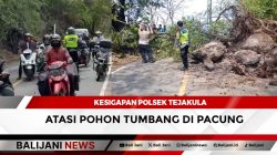 Kesigapan Polsek Tejakula Atasi Pohon Tumbang di Pacung