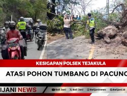 Kesigapan Polsek Tejakula Atasi Pohon Tumbang di Pacung