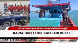 TNI AL Gagalkan Aksi Illegal Fishing di Nias, Kapal dan 1 Ton Ikan Jadi Bukti