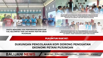 PLN untuk Rakyat: Dukungan Pengolahan Kopi Dorong Penguatan Ekonomi Petani Pujungan