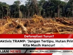 Deforestasi Turun? Aktivis TRAMP: ‘Jangan Tertipu, Hutan Primer Kita Masih Hancur!’