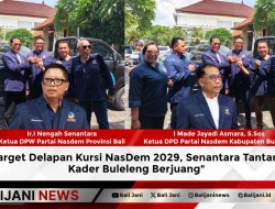 Target Delapan Kursi NasDem 2029, Senantara Tantang Kader Buleleng Berjuang