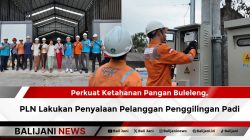 Perkuat Ketahanan Pangan Buleleng, PLN Lakukan Penyalaan Pelanggan Penggilingan Padi