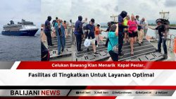 Celukan Bawang Kian Menarik  Kapal Pesiar, Fasilitas di Tingkatkan Untuk Layanan Optimal