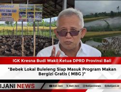 Bebek Lokal Buleleng Siap Masuk Program Makan Bergizi Gratis ( MBG )