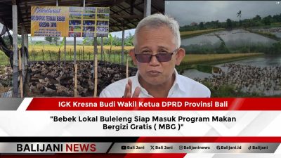 Bebek Lokal Buleleng Siap Masuk Program Makan Bergizi Gratis ( MBG )