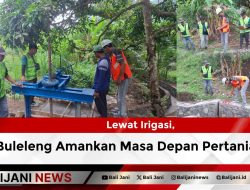 Lewat Irigasi, Buleleng Amankan Masa Depan Pertanian
