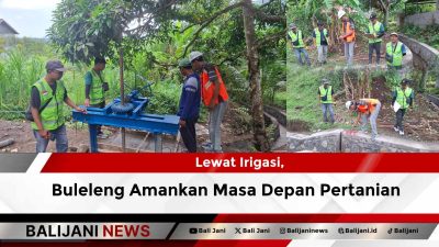 Lewat Irigasi, Buleleng Amankan Masa Depan Pertanian