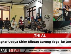 TNI AL Bongkar Upaya Kirim Ribuan Burung Ilegal ke Denpasar