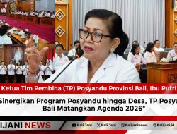 Sinergikan Program Posyandu hingga Desa, TP Posyandu Bali Matangkan Agenda 2026