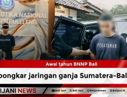 Awal Tahun BNNP Bali Bongkar Jaringan Ganja Sumatera-Bali
