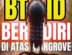 BTID Berdiri di Atas Mangrove, Izin Pusat Bukan Jubah Suci