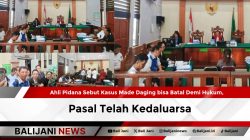 Ahli Pidana Sebut Kasus Made Daging bisa Batal Demi Hukum, Pasal Telah Kedaluarsa