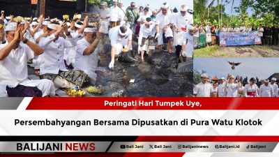 Peringati Hari Tumpek Uye, Persembahyangan Bersama Dipusatkan di Pura Watu Klotok