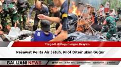 Tragedi di Pegunungan Krayan: Pesawat Pelita Air Jatuh, Pilot Ditemukan Gugur