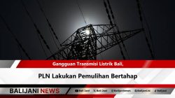Gangguan Transmisi Listrik Bali, PLN Lakukan Pemulihan Bertahap
