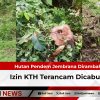 Hutan Pendem Jembrana Dirambah, Izin KTH Terancam Dicabut