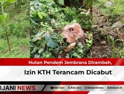 Hutan Pendem Jembrana Dirambah, Izin KTH Terancam Dicabut