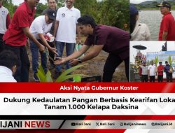Aksi Nyata Gubernur Koster Dukung Kedaulatan Pangan Berbasis Kearifan Lokal, Tanam 1.000 Kelapa Daksina