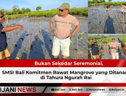 Bukan Sekedar Seremonial, SMSI Bali Komitmen Rawat Mangrove yang Ditanam di Tahura Ngurah Rai