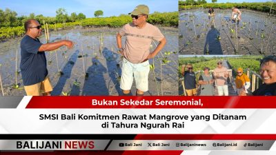 Bukan Sekedar Seremonial, SMSI Bali Komitmen Rawat Mangrove yang Ditanam di Tahura Ngurah Rai