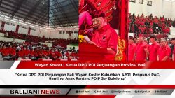 Ketua DPD PDI Perjuangan Bali Wayan Koster Kukuhkan  4.571  Pengurus PAC, Ranting, Anak Ranting PDIP Se- Buleleng