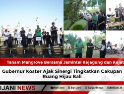 Tanam Mangrove Bersama Jamintel Kejagung dan Kejati Bali, Gubernur Koster Ajak Sinergi Tingkatkan Cakupan Ruang Hijau Bali