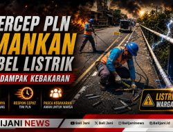 Gercep PLN Amankan Kabel Listrik Dari Dampak Kebakaran