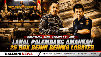 Penyelundupan benih lobster di Jambi digagalkan TNI AL