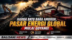 Harga Batu Bara Ambruk, Pasar Energi Global Mulai Goyang!