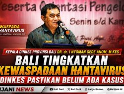 Bali Tingkatkan Kewaspadaan Hantavirus, Dinkes Pastikan Belum Ada Kasus