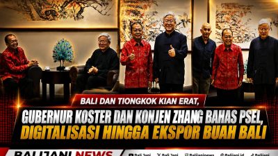 Bali dan Tiongkok Kian Erat, Gubernur Koster dan Konjen Zhang Bahas PSEL, Digitalisasi hingga Ekspor Buah Bali