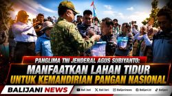 Panglima TNI Jenderal Agus Subiyanto: Manfaatkan Lahan Tidur untuk Kemandirian Pangan Nasional