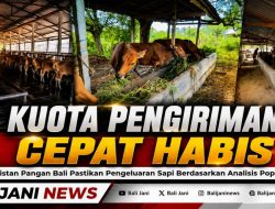 Kuota Pengiriman Cepat Habis, Distan Pangan Bali Pastikan Pengeluaran Sapi Berdasarkan Analisis Populasi