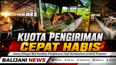Kuota Pengiriman Cepat Habis, Distan Pangan Bali Pastikan Pengeluaran Sapi Berdasarkan Analisis Populasi