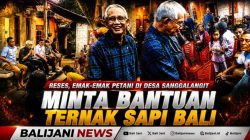 Reses, Emak-emak Petani di Desa Sanggalangit Minta Bantuan Ternak Sapi Bali
