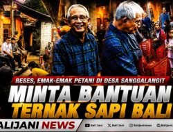 Reses, Emak-emak Petani di Desa Sanggalangit Minta Bantuan Ternak Sapi Bali
