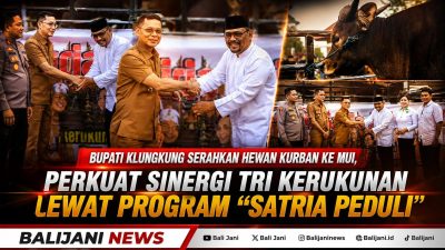 Bupati Klungkung Serahkan Hewan Kurban ke MUI, Perkuat Sinergi Tri Kerukunan Lewat Program "Satria Peduli
