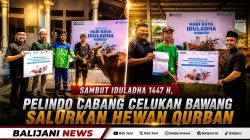 Sambut Iduladha 1447 H, Pelindo Cabang Celukan Bawang Salurkan Hewan Qurban