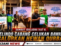 Sambut Idul Adha 1447 H, Pelindo Cabang Celukan Bawang Salurkan Hewan Qurban