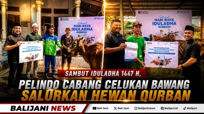 Sambut Iduladha 1447 H, Pelindo Cabang Celukan Bawang Salurkan Hewan Qurban